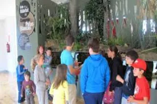 Más de 4.600 alumnos han participado en el programa V(E)²N en la provincia