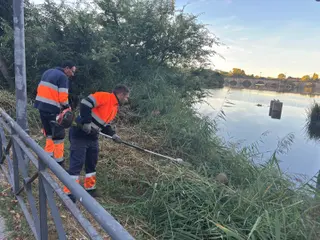 Alba de Tormes continúa con los trabajos de control selectivo de la vegetación