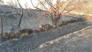 Consecuencias del incendio en Aldeadávila de la Ribera