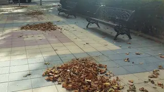 Imagen del otoño | Salamanca24horas