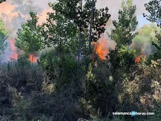 Incendio forestal alba (4)
