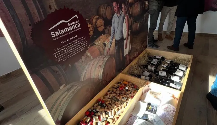 Centro de Interpretación del vino de Villanueva del Conde