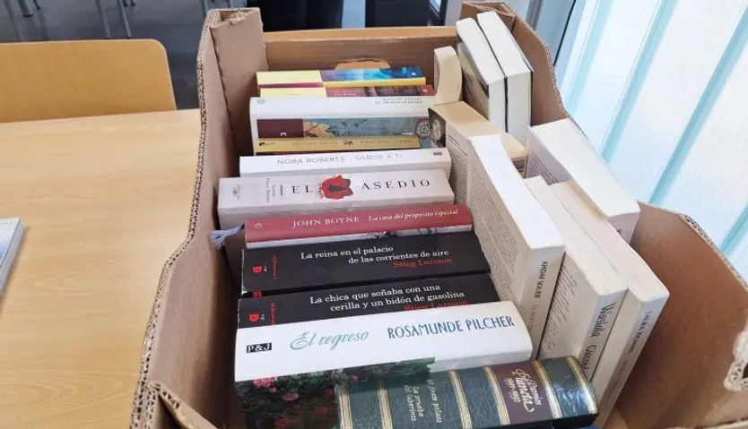 Mercadillo solidario de libros a favor de la ELA en la biblioteca de Villamayor