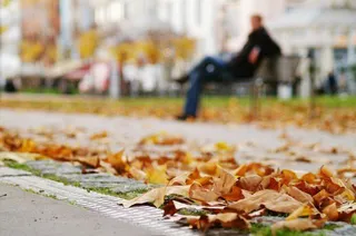 El otoño comienza oficialmente este viernes a las diez de la noche
