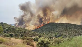 Incendio en Figueruela foto coordinadora rural de Xamora 11 1100x632