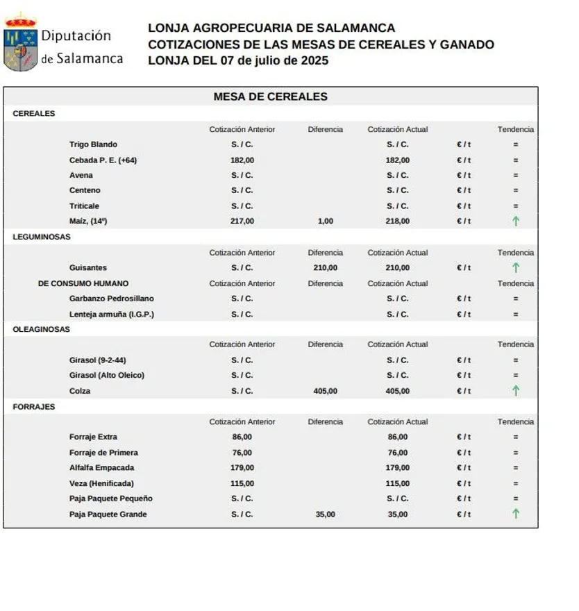 Mesa cereales, lonja 7 de julio 2025