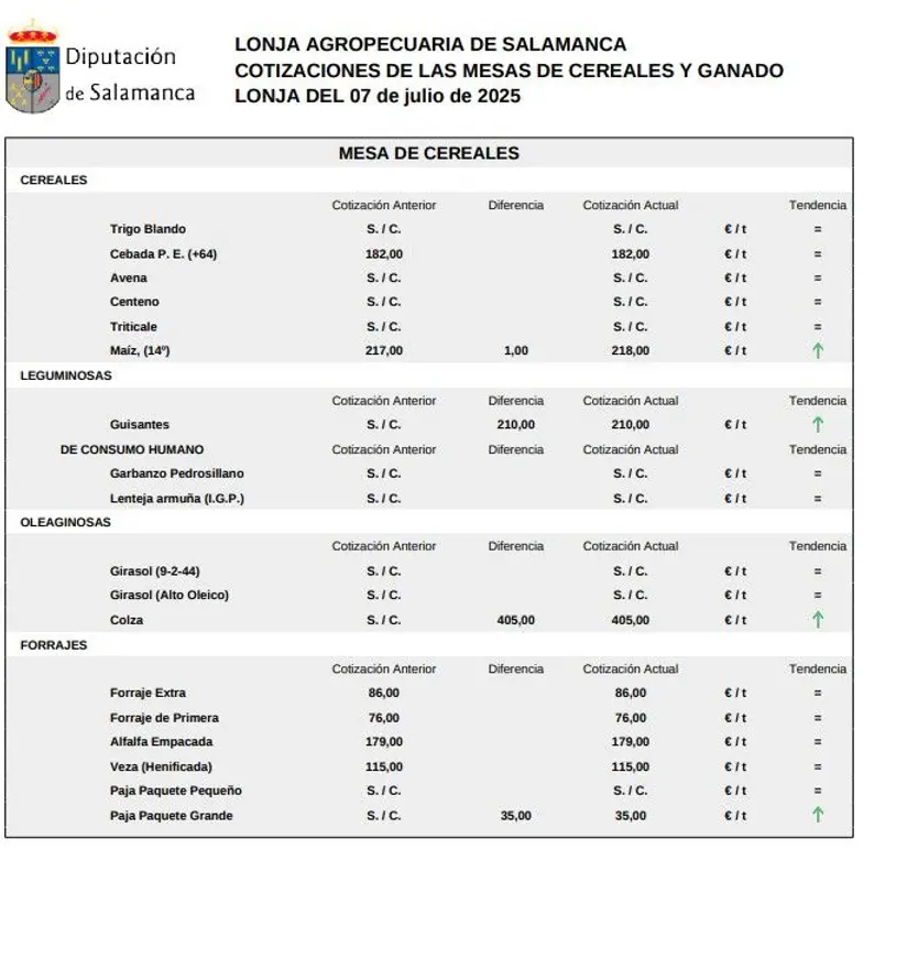 Mesa cereales, lonja 7 de julio 2025