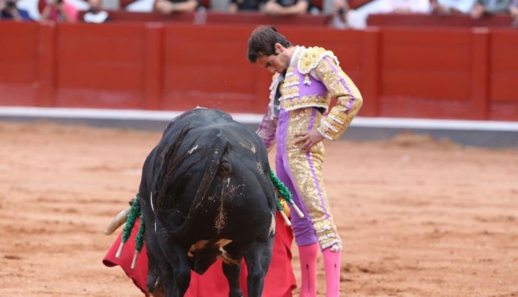 Derechazo de Alejandro Marcos