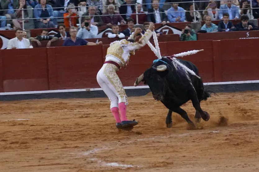 Ismael Martín banderilleando un toro de Lorenzo Espioja en la feria de 2024