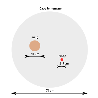 Comparativa del tama&ntilde;o de una part&iacute;culo PM10 (en marr&oacute;n) y el grosor de un cabello humano (rojo) 