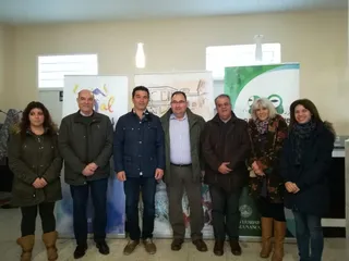 Voluntariado