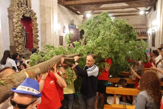 Romería del Ramo en Villamayor