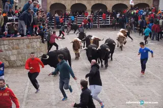 Encierro Carnaval del Toro Ciudad Rodrigo | Imagen de archivo