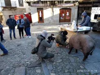 Alberca 5