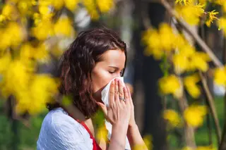 Alergia al polen. Foto Infosalus