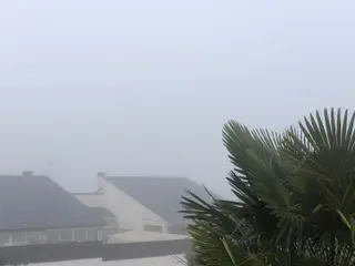 Niebla en Carrascal de Barregas (Salamanca) en la mañana de este domingo, 12 de diciembre