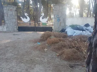 Estado de la maleza en Terradillos (9)