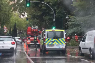 Bomberos y Policía Local de Salamanca actuando en el Paseo de Carmelitas por la caída de una rama (2)