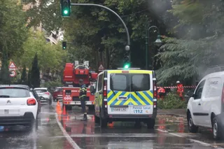 Bomberos y Policía Local de Salamanca actuando en el Paseo de Carmelitas por la caída de una rama (2)