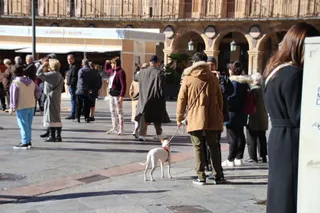 Gente paseando por las calles de Salamanca