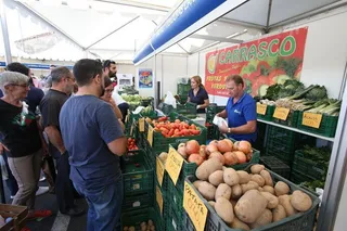 Feria de la Huerta en Cabrerizos