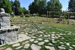 DSC 0010