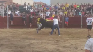 Fiestas de Villares de la Reina 2017: Vaquillas lunes