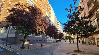 Cinco nuevo arces en calle Escultor Carmona, en el barrio del Oeste. Foto Ayto. Salamanca