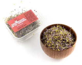 Brots germinados afectados por salmonella - AESAN
