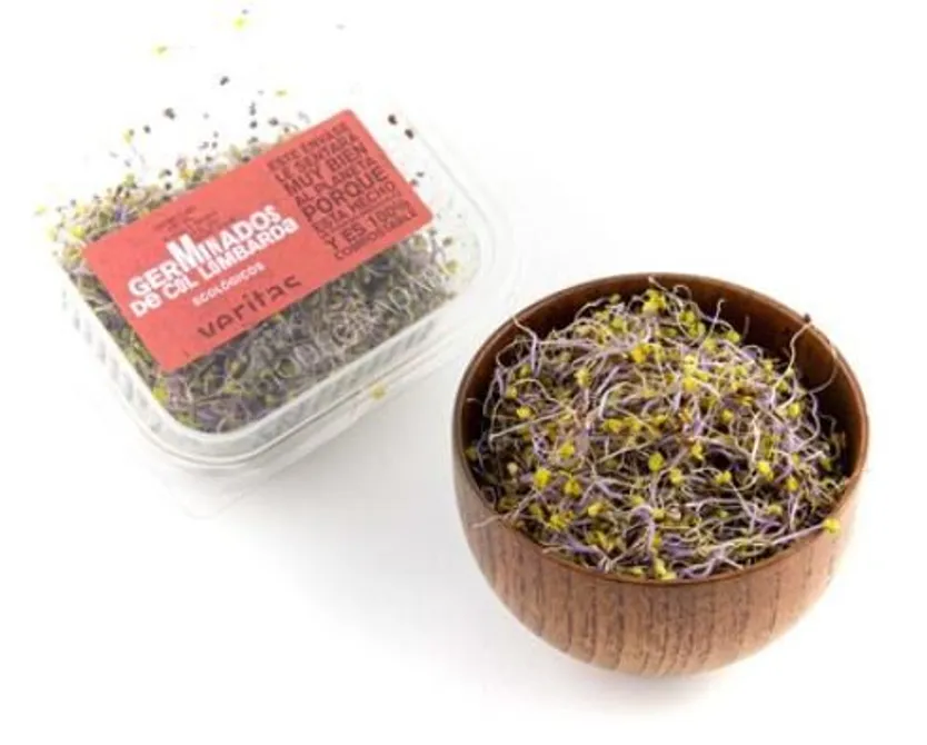 Brots germinados afectados por salmonella - AESAN