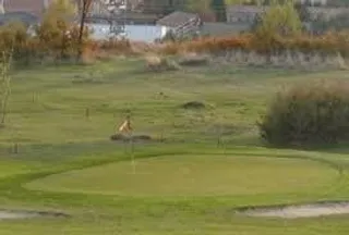 El campo de Golf de Béjar acoge el torneo de verano “Homenaje a Juan José Jiménez Frías”