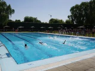 Trofeo natación Fiestas San Roque Carbajosa (4)