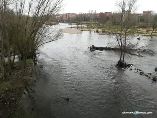 Río Tormes Lunes de Aguas (8)