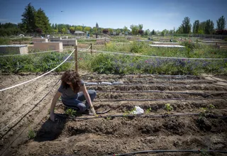 Salamanca promueve acciones para recuperar los servicios de los ecosistemas urbanos