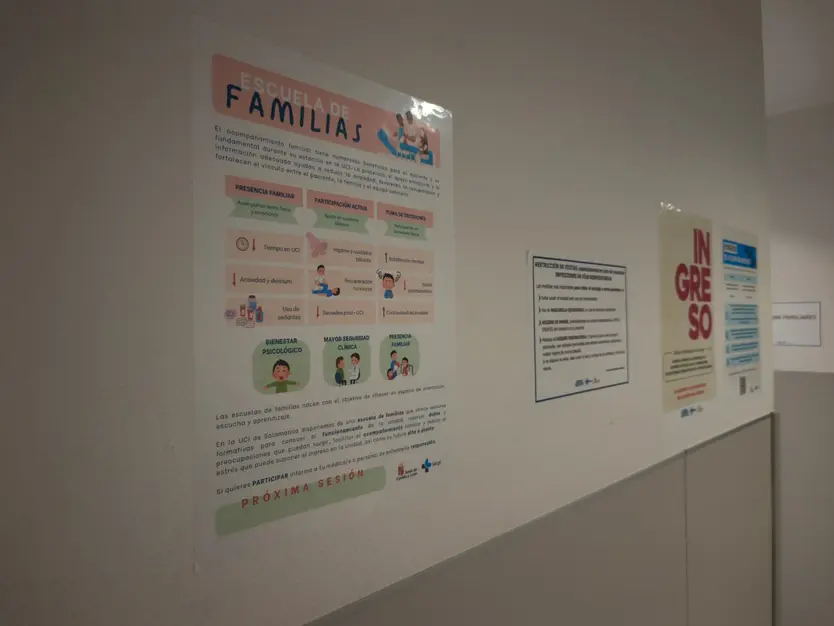 Carteles De La 'escuela De Familia' De La Uci De Salamanca