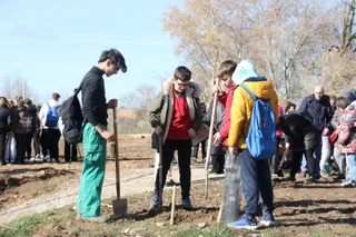 Eloy Ruiz participa en la plantación de árboles de 160 alumnos de 7 centros que tienen "Sello Ambiental Escolar"