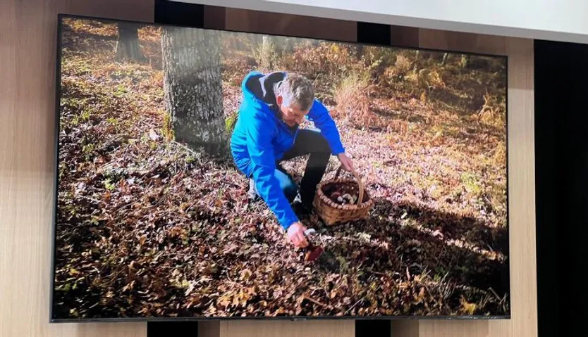 Proyección de un vídeo de turismo micológico en Salamanca