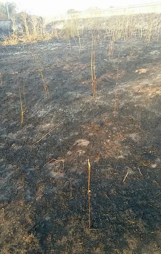 Incendio en Santibáñez del Río