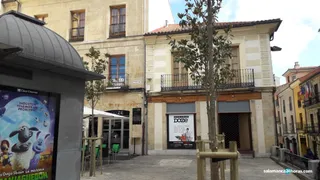 árboles en la isla de la rúa (4)