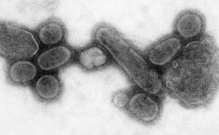 10. vacunas gripe
