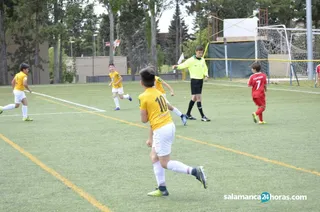 DSC0730 1200x795