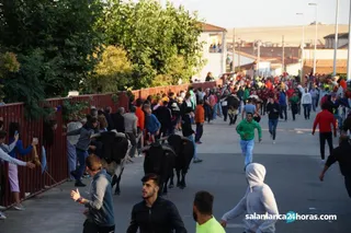 Tercer encierro de Macotera (40)