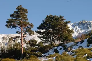 Premysa inicia la matrícula para uno de los cursos más esperados, Monitor de Guía de Montaña