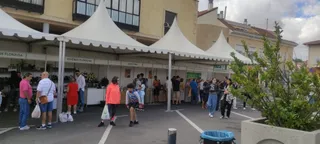 Mercado ecológico de Cabrerizos. Foto: S24H