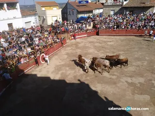 Encierro de Villarino de los Aires (15)