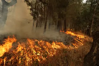 La Junta mantiene la alerta por riesgo extremo de incendios y restringe el uso de maquinaria agrícola