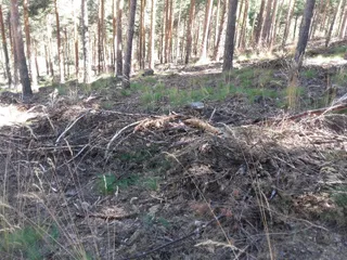 Garganta del oso 2