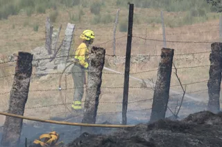 Incendio forestal en Buenavista. Fotos Carlos H.G