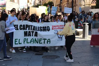 Fridays for future (37)