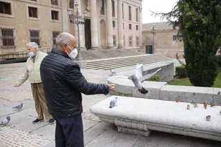Señores mayores en la Plaza de Anaya dando de comer a las palomas en invierno